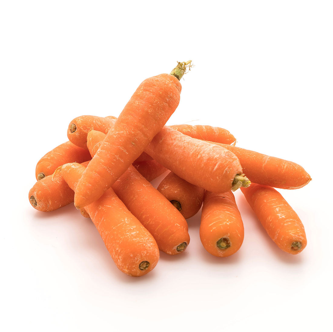 Zanahoria en polvo